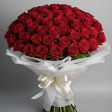 Букет 101 Красная роза Блэк Мэджик в Малиновке