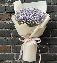 Букет цветов из:  Гипсофила #REPLACE_PRED# Малиновке