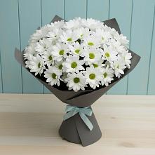 Букет цветов из:  Хризантемы #REPLACE_PRED# Малиновке