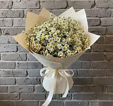 Букет цветов из:  Ромашки в Малиновке