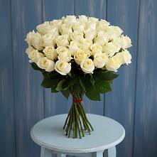 Букет 51 Белая роза Эдлесс Лав #REPLACE_PRED# Малиновке