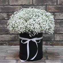 Цветочная композиция из Гипсофила в шляпной коробке в Малиновке