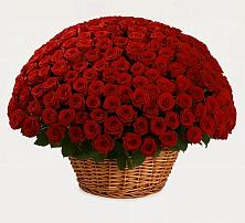 Премиум букет из: Розы в Малиновке